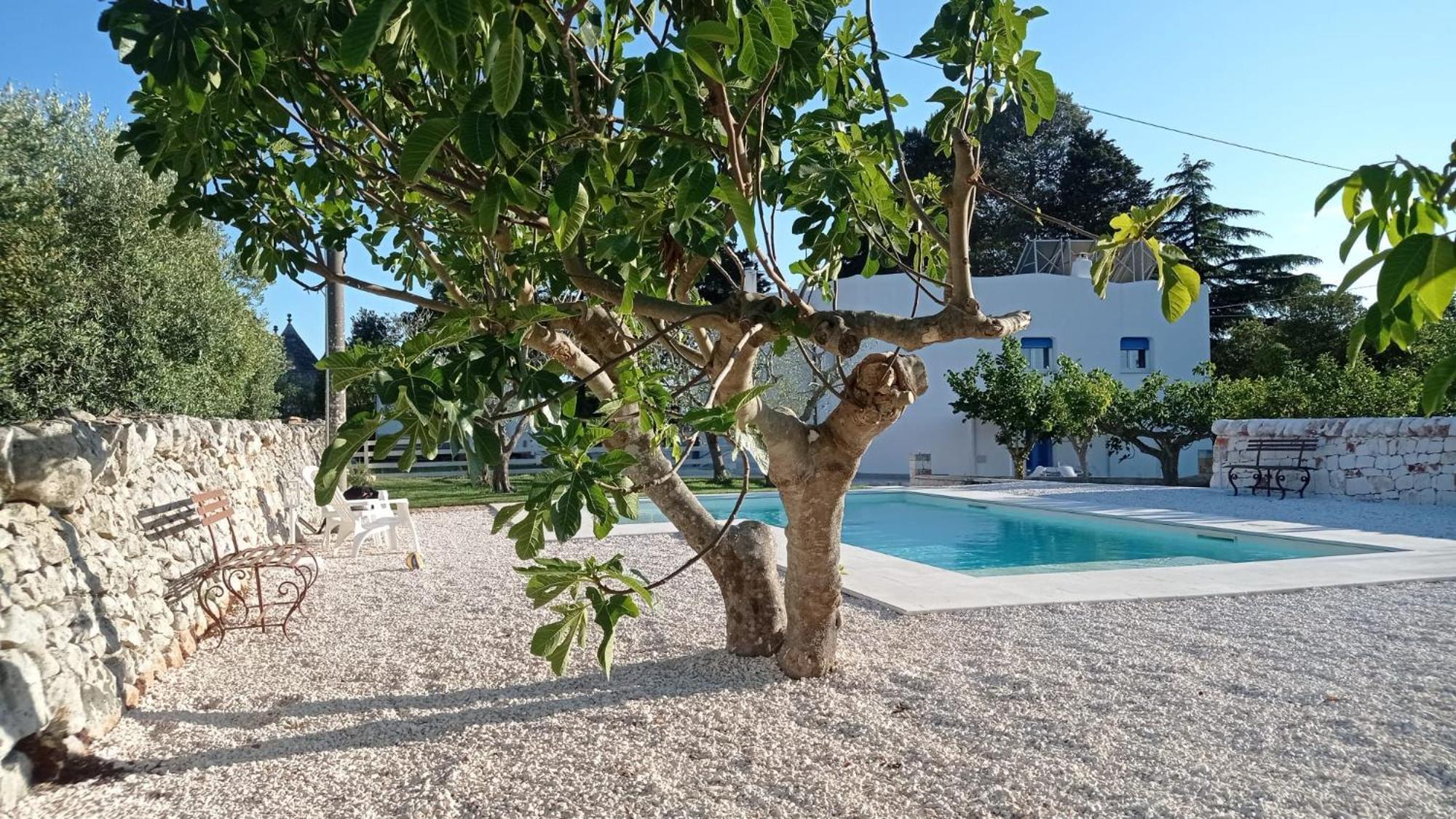 Casa Vacanze Villa Greca マルティナ・フランカ エクステリア 写真
